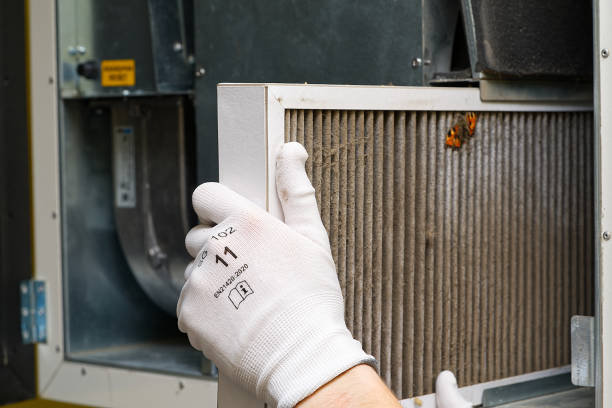  Waikapu, HI Airduct Cleaning Pros
