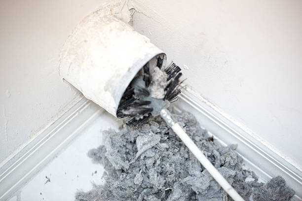 Best Local Air Duct Cleaning Services  in Waikapu, HI